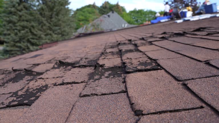 Best Sheet Metal Roofing  in Eastwood, MI