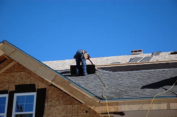 Best Roof Moss and Algae Removal  in Eastwood, MI