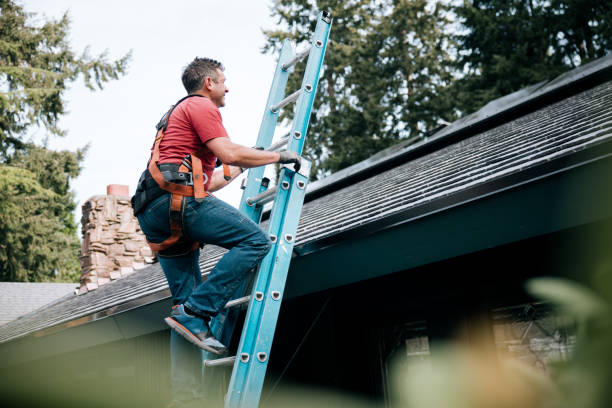 Asphalt Shingles Roofing in Eastwood, MI