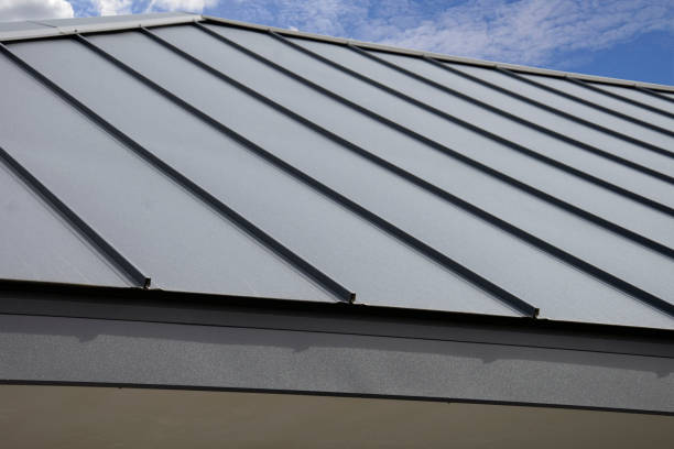 Best Skylight Installation and Repair  in Eastwood, MI
