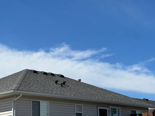 Best Cold Roofs  in Eastwood, MI
