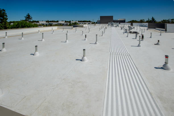 Best Skylight Installation and Repair  in Eastwood, MI